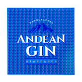Barmat Cuadrado Andean Gin Arándanos