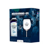 ANDEAN GIN ARÁNDANOS + COPA